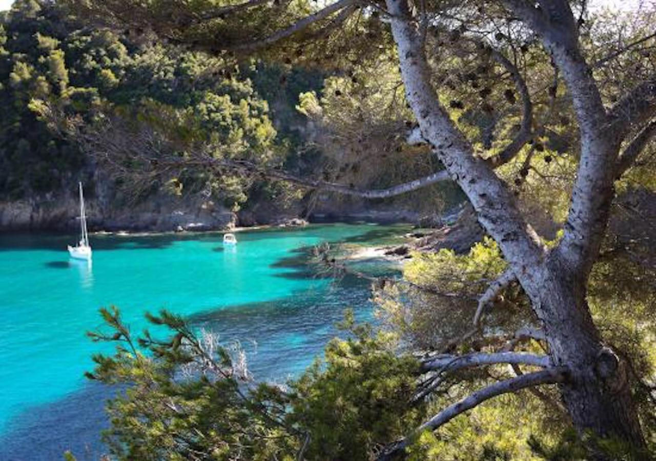 207-les Pieds Dans L’eau à 30m De La Cavalaire-sur-Mer
